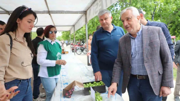 Turgutlu'da en güzel Dumanlı Papaz Eriği yarışması düzenlendi