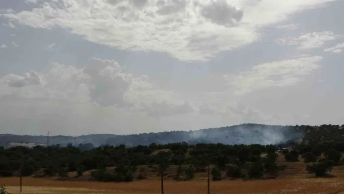 Uşak'ta 4 hektarlık makilik alan yandı