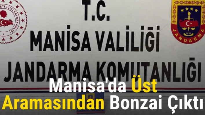 Manisa'da Üst aramasından bonzai çıktı