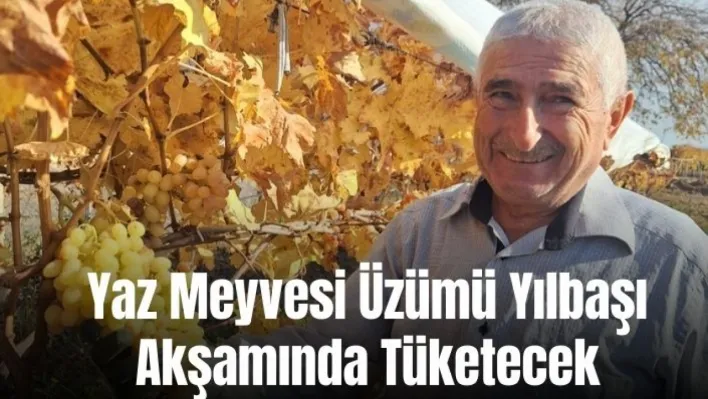 Yaz meyvesi üzümü yılbaşı akşamında tüketecek