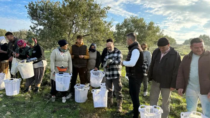 Zeytin Budamasındaki Tarım Emekçilerine Destek