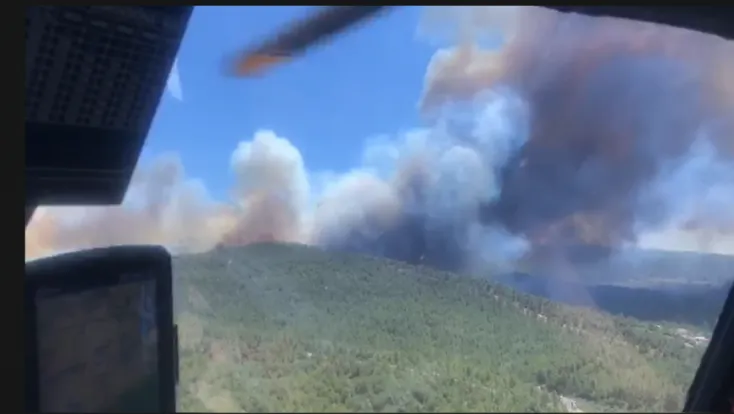 Manisa Akhisar’da Orman Yangını...